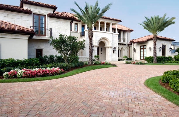 Best Driveway Paving Contractor  in Chama, NM